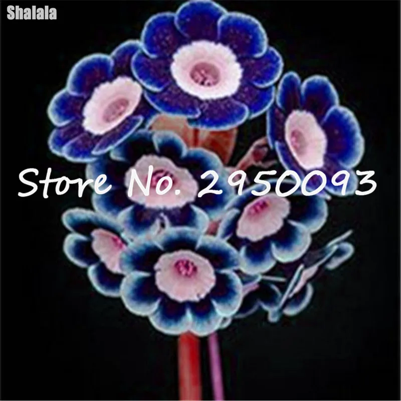 100 Примула для искусственных цветов плантатор | Дом и сад