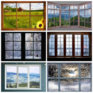 Laeacco декорации с окном Пейзаж ЛЕС ДЕРЕВЬЯ пастбище снег боке ребенок портрет фотографии фоны фотостудия