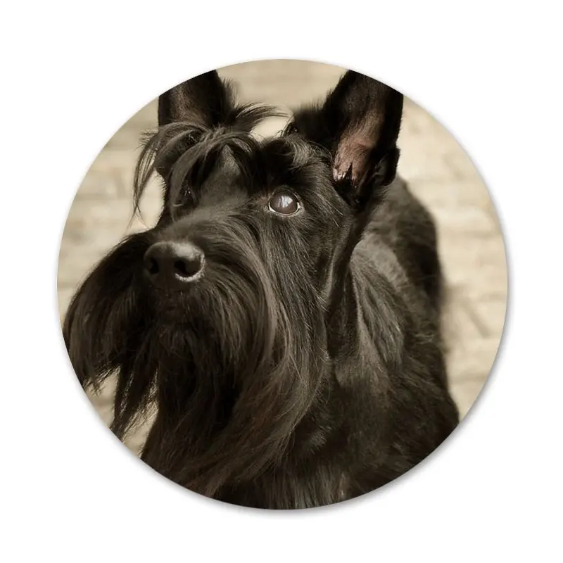 Шотландского терьера Собака Щенок значок брошь заколка аксессуары для одежды