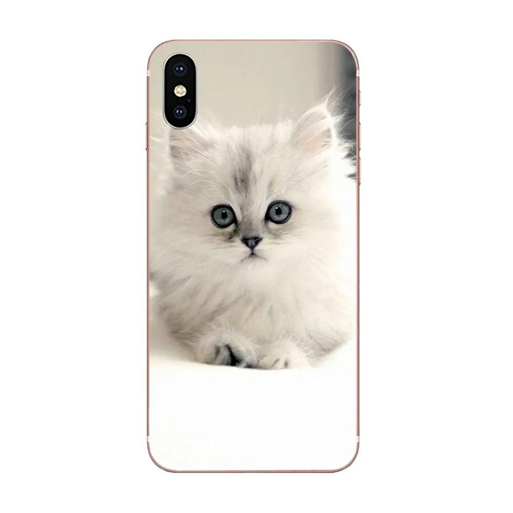 For Huawei Honor 4C 5A 5C 5X 6 6A 6X 7 7A 7C 7X 8 8C 8S 9 10 10i 20 20i Lite Pro Soft Capa Cover Case Little Kitten Cute Cat | Мобильные