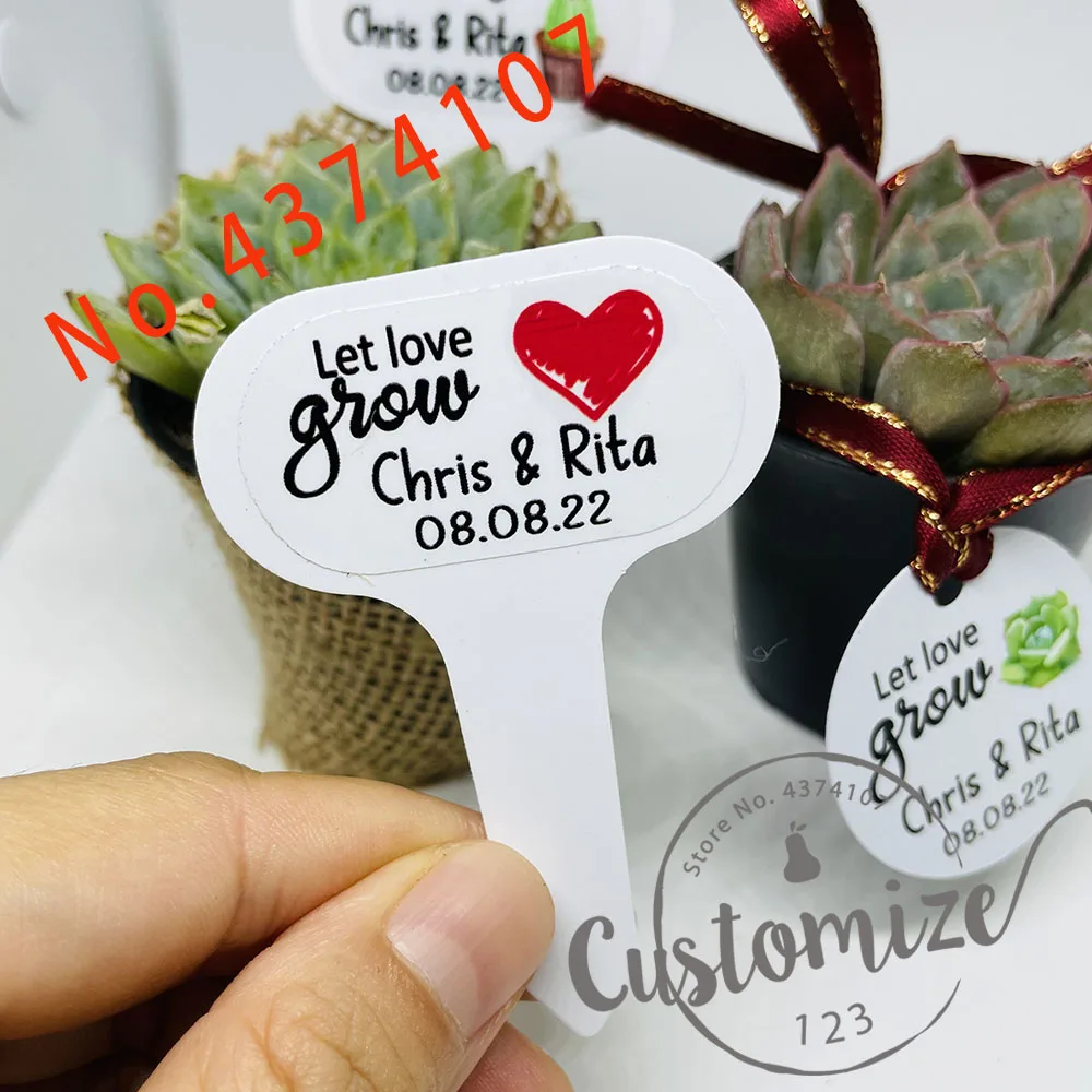 

CustomizeT-type Garden Succulent Plant Label Personalize Plant Tag Wedding Favor Tag,Design Flag Tag, Plant Stake, Baby Showe