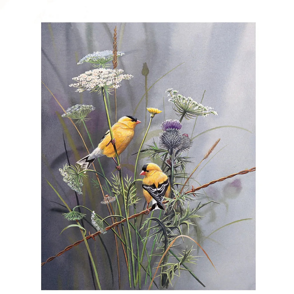 

5d алмазная живопись рисунком в виде птичек площадь дрель DIY Бриллиантовая мозаичная фигурка животного Вышивка крестом Стразы изображение д...