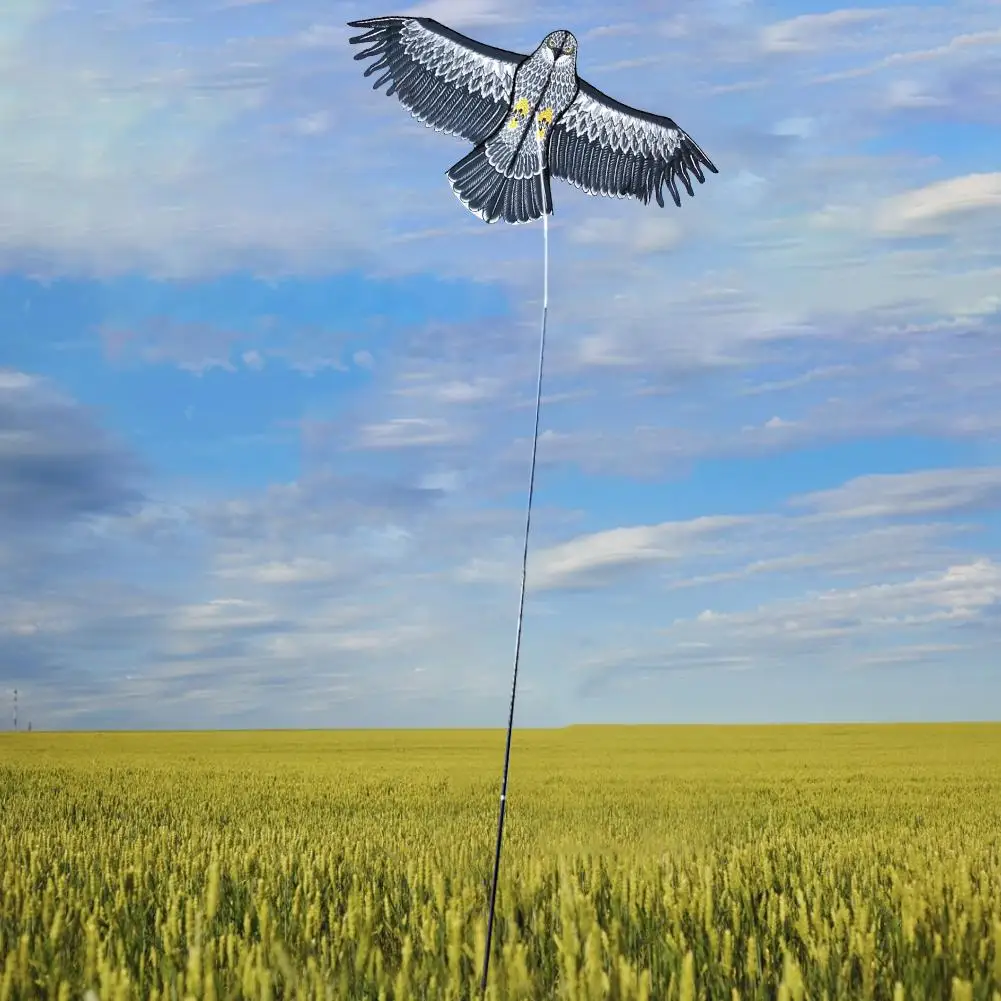 

Flat Eagle Kite Children Flying Bird Kites Windsock Outdoor Toys Kite For Kids Gift Garden Toy