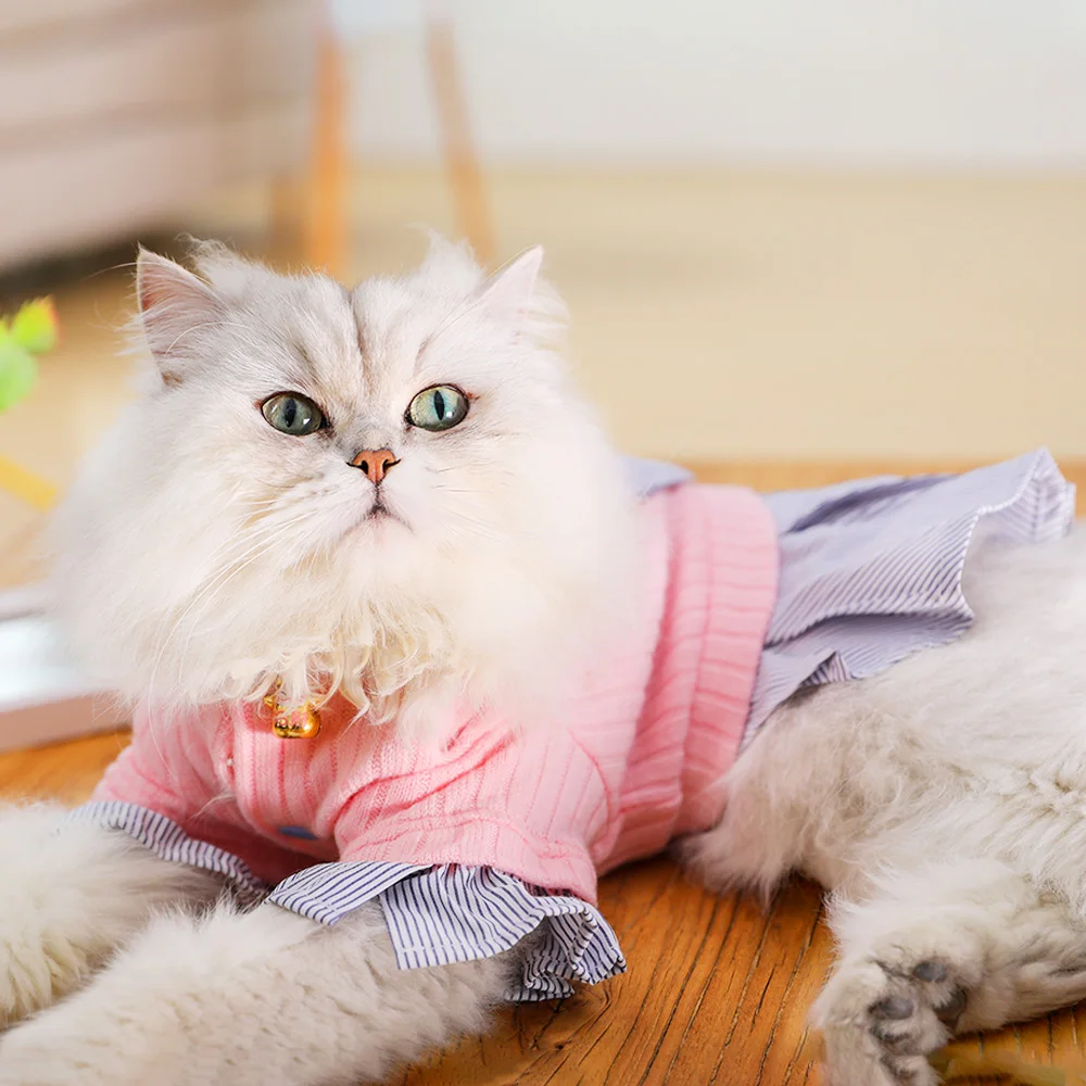 Hoopet одежда для домашних животных, котов собака пальто костюм плюшевого медвежонка на щенков и небольших собак, платье принцессы, одежда для кошек