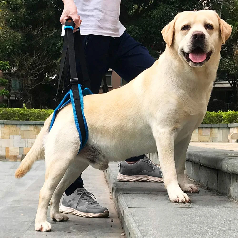 

Pet Dog Auxiliary Belt Harness Assist Lift Support Rehabilitation Belt for Elder Sick Dog Injured Pet Portable Auxiliary Belt