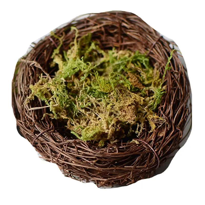 Сухой лесной мох 1 упаковка многоцелевой натуральный растительный