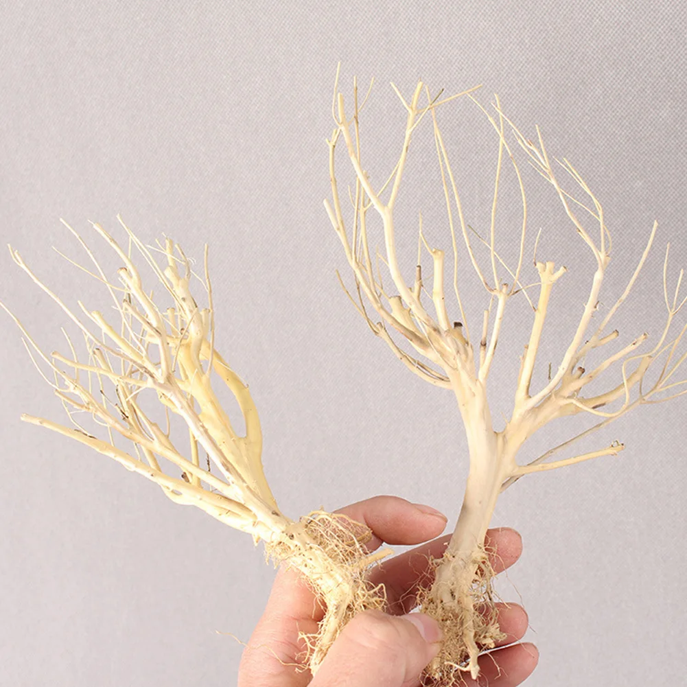 Аквариум для рыб змеи Террариум окружающая среда маленький аквариум дрифвуд