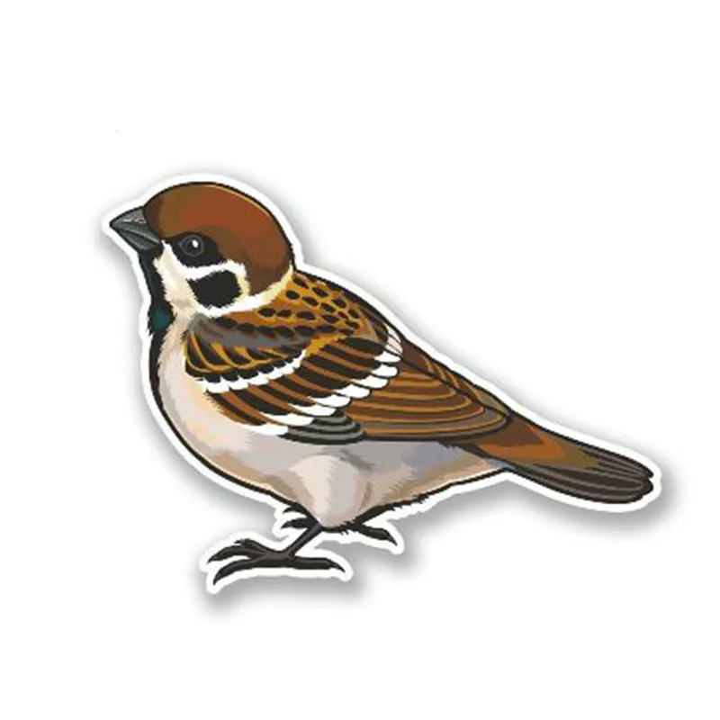 

Cartoon Small Brown Bird Vinyl Waterproof Decal Laptop Motorbike Car Sticker for Truck Van Vehicle Glass Window Decals 13cm*9cm