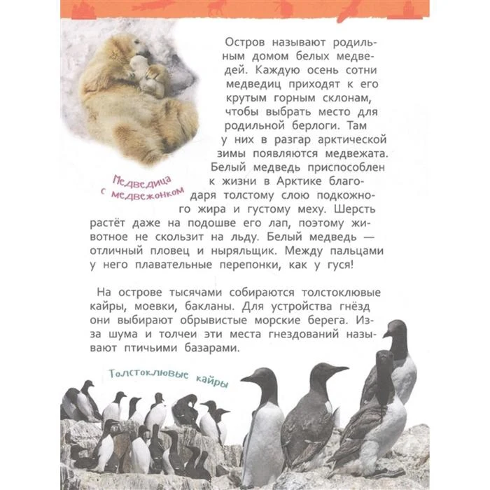 Энциклопедия для детского сада Чудеса России 5448377 |