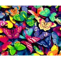 fsbcgt animal butterfly pictures diy painting by numbers adults hand painted on canvas coloring by numbers home wall art decor