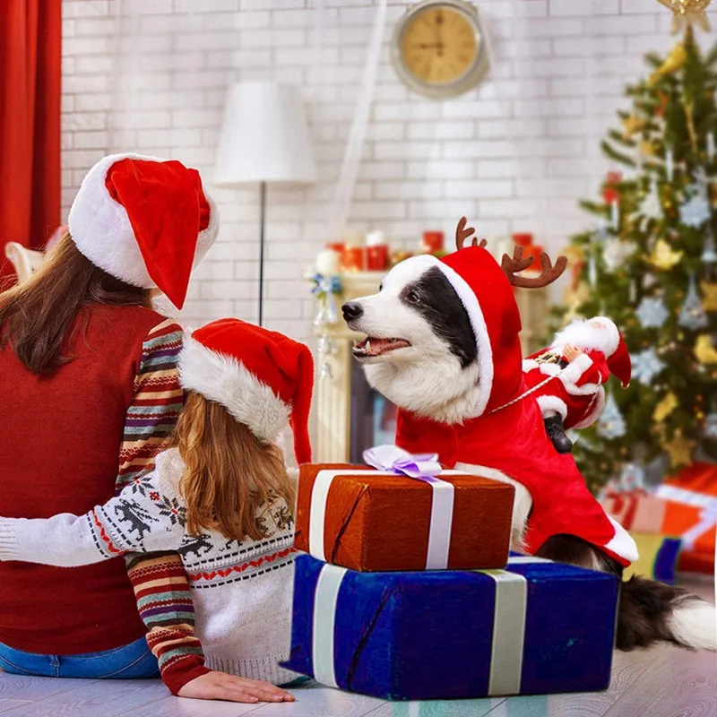 

Winter Dogs Small Large Santa Cosplay Outfit for Christmas Carnival Pet Costumes Apparel Party Dressing Up Clothing