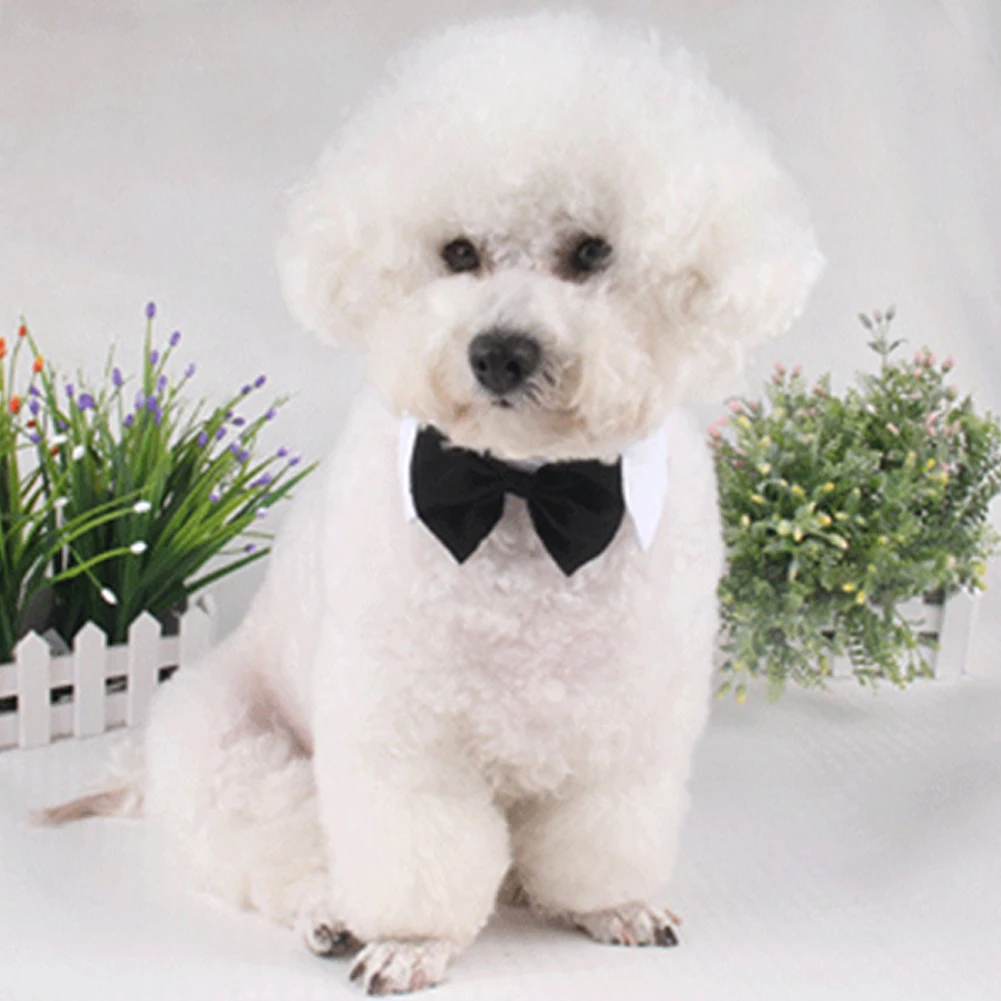 1 шт для домашних животных с щенками регулируемый галстук бабочка ошейник