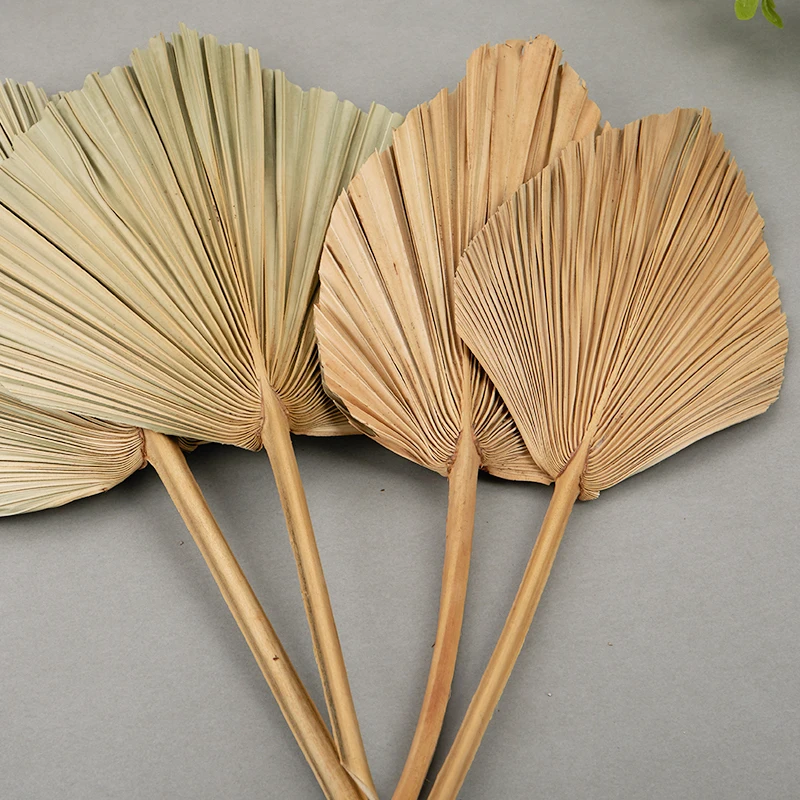 

1pcs Palm Fan Leaf Dried Flower Palm Leaf Window Reception Party DIY Art Wall Hanging Decoration For Wedding Arch Arrangement