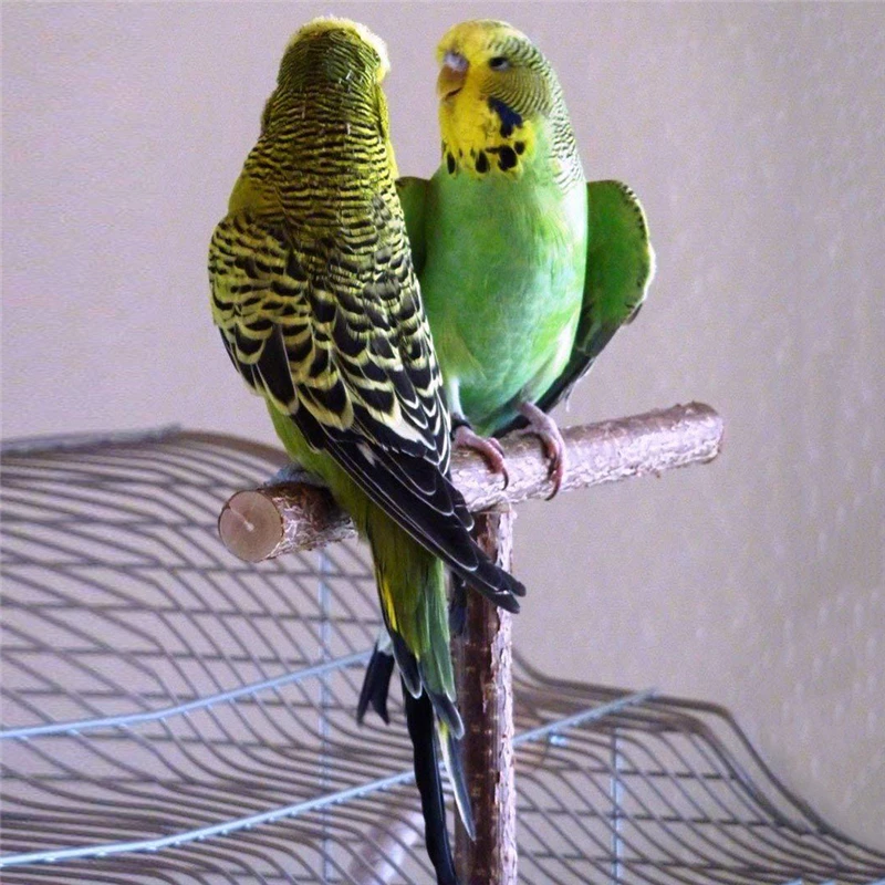 Игрушки для домашних животных Parakeet Budgie Висячие игрушки клетка птиц деревянная
