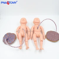 life size newborn model with funicle and placenta baby nursing tool educational equipment medical teaching human anatomy
