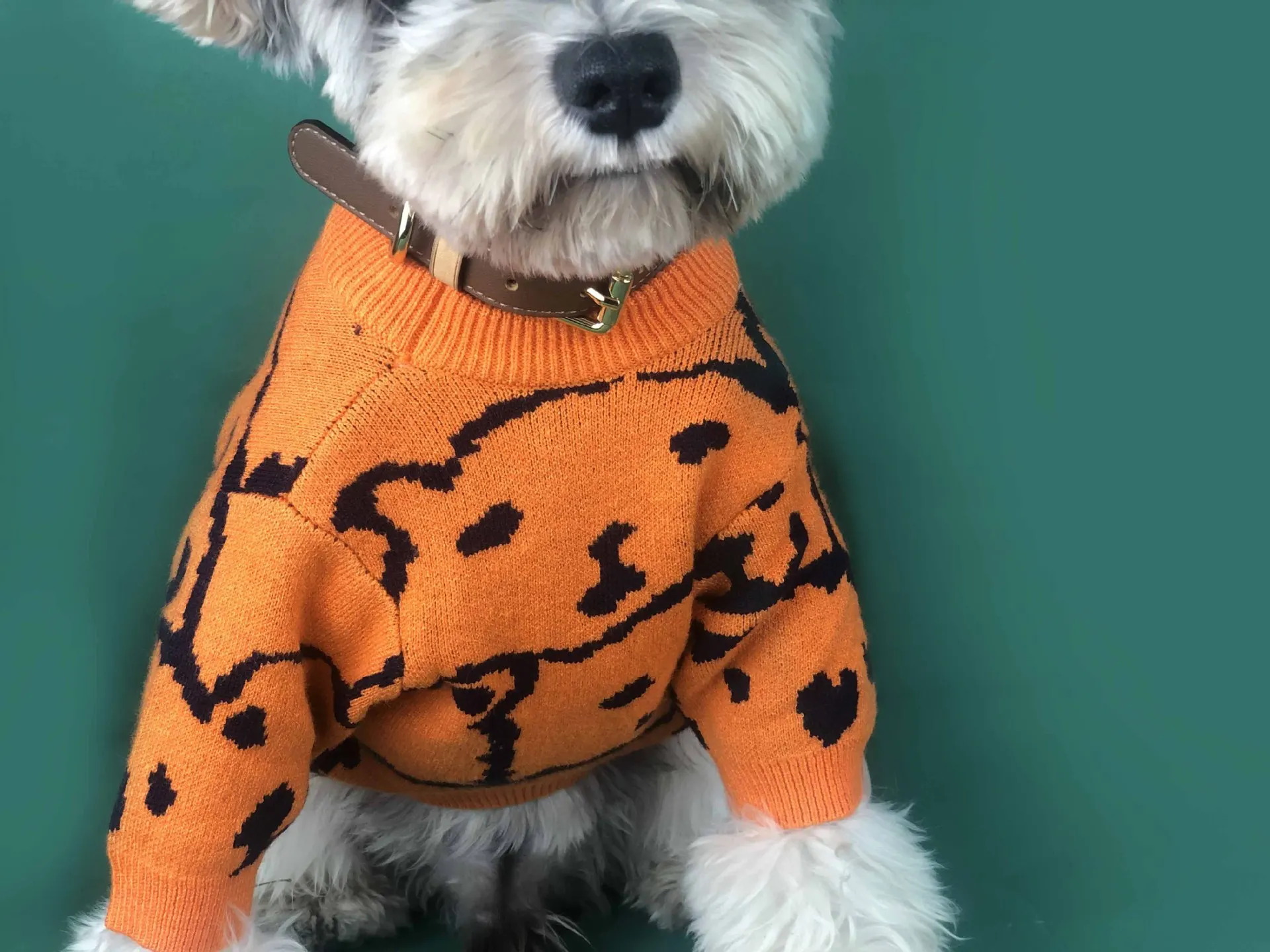Schnauzer восхитительный свитер со щенком, теплая одежда для собак, милый свитер для собак, домашняя одежда для плюшевого мопса, свитер с рисунком бульдога