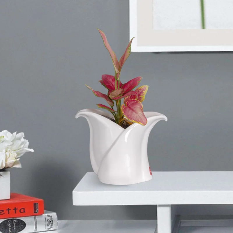 

Ceramic Creative Flower Pot White Minimalist Modern Nordic Plant Container Art Indoor Bloempotten Table Decoration ED50FP
