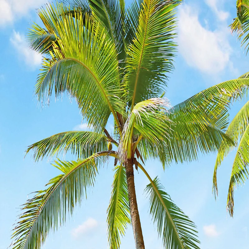 Пользовательские 3D фотообои пляж морской пейзаж Кокосовая настенная живопись