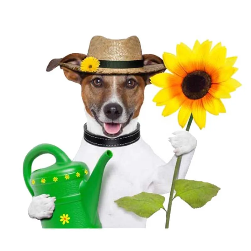 Aliauto Funny Car Sticker A Puppy with Kettle and Sunflower Accessories PVC Decal for Vw Passat B6 Volvo Xc90 16cm*14cm | Автомобили и