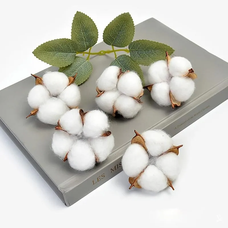 

5pcs/set Natural Dried Flower Cotton Head Dried Flower Supplies Wreaths Single Head Artificial For Wedding Flower Home DIY X5W6