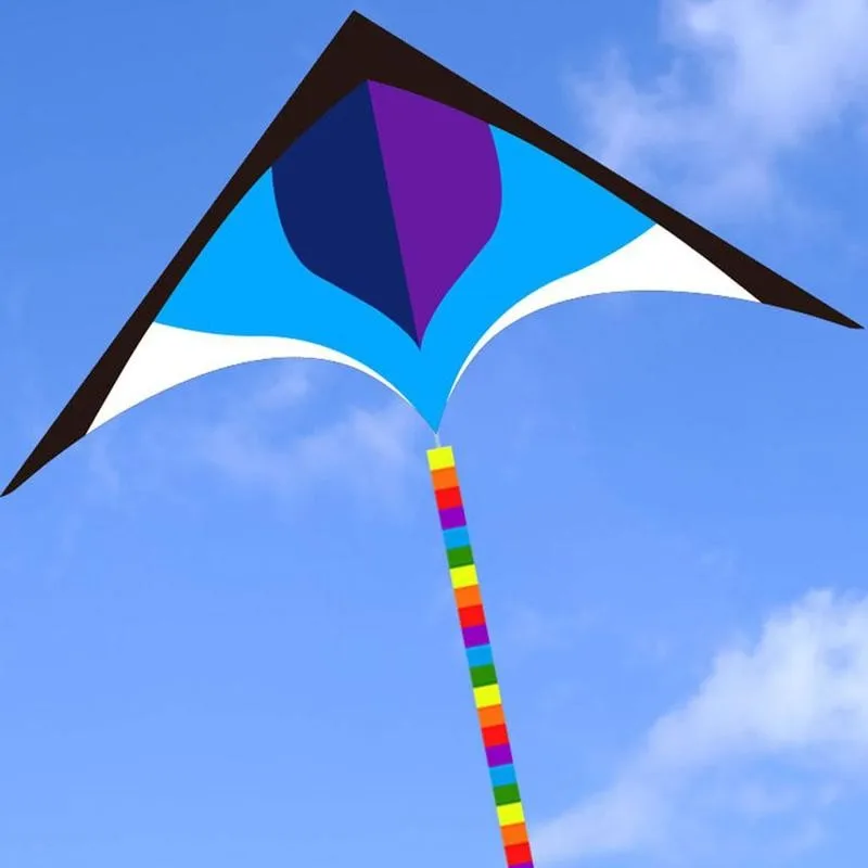 

Голубая Радуга длинные хвосты летучие змеи с ручкой и нить высокое качество Ripstop Albatross воздушный змей большая птица уличные игрушки для лета...