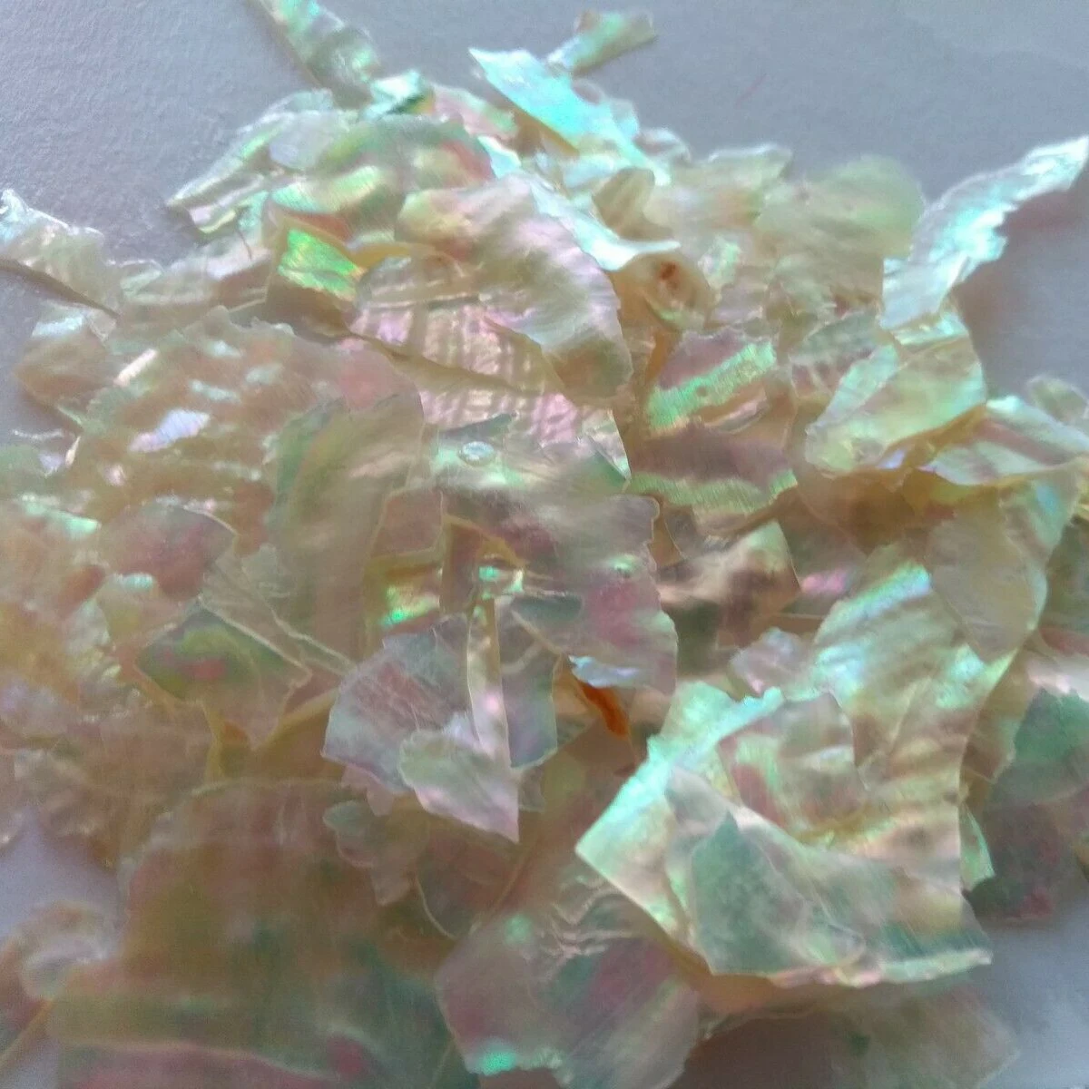 

5g Nail Art Abalone Shell Irregular Fragment 3D Nail Charm Decoration Slice for Nail Art Undrilled Natural Shell Glitter Flake