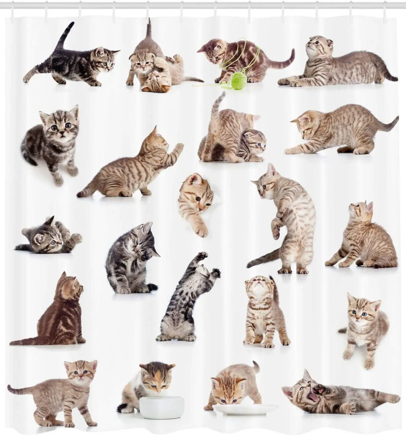 Кошка Душ шторы иллюстрации Смешные игривые кошки на белом фоне животные котенок