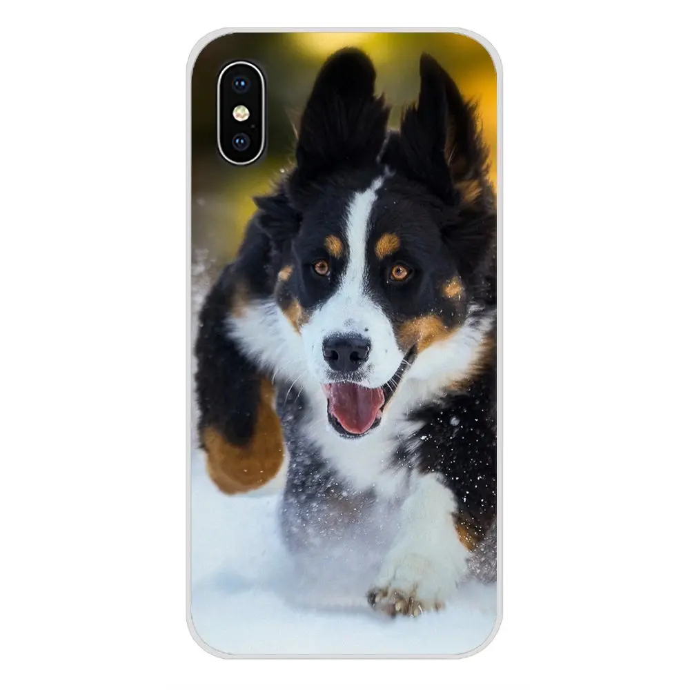 For Samsung Galaxy J1 J2 J3 J4 J5 J6 J7 J8 Plus 2018 Prime 2015 2016 2017 Accessories Phone Cases Covers Bernese Mountain Dog | Мобильные