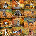 Evershine 5д Алмазная мозаика собаки Алмазная вышивка осень картина стразы полная площадь Алмазная Живопись животные распродажа искусство стены