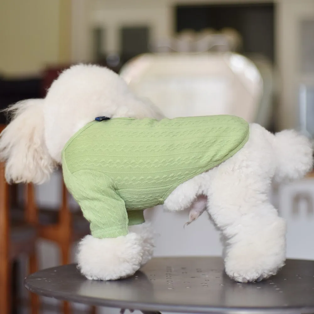 Pet Sweater for Autumn and Winter Korean Fashion Dog Cat Small Medium Stretch Underwear Two Feet Apparel | Дом и сад