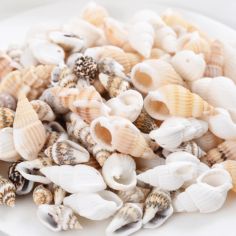 

Wholesale Charms Small Conch Beads 20/40/60/80g Natural Sea Snail Beads With Holes For DIY Jewelry Making Bracelet Necklace