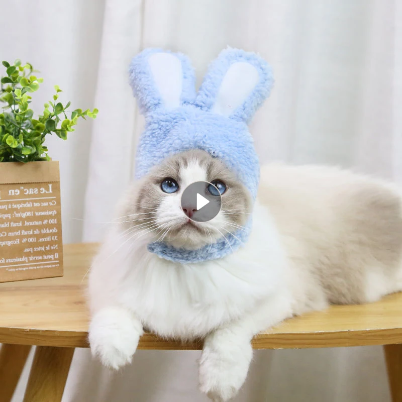 

Аксессуары для кошек, головной убор для кошек, костюм с заячьими ушками, шапка для домашних животных, косплей, костюмы для кошек, малый разме...
