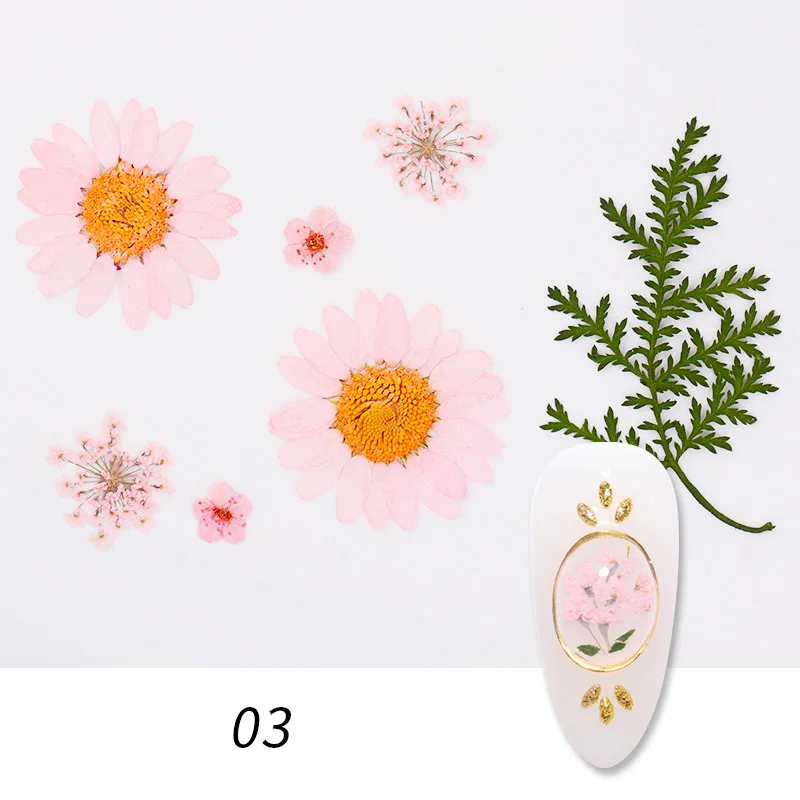 03(1bag) 1 коробка сушеные цветы лист DIY украшения для ногтей Красота цветение подсолнухи советы натуральные Подвески наклейки для ногтей аксессуары - Цвет: 03(1bag)