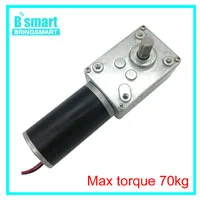 Bringsmart 5840-31zy двойной вал двигателя 24 В DC червячный мотор-редуктор 4 в DC редуктор двигатели с высоким крутящим моментом обратный самозамок для робота