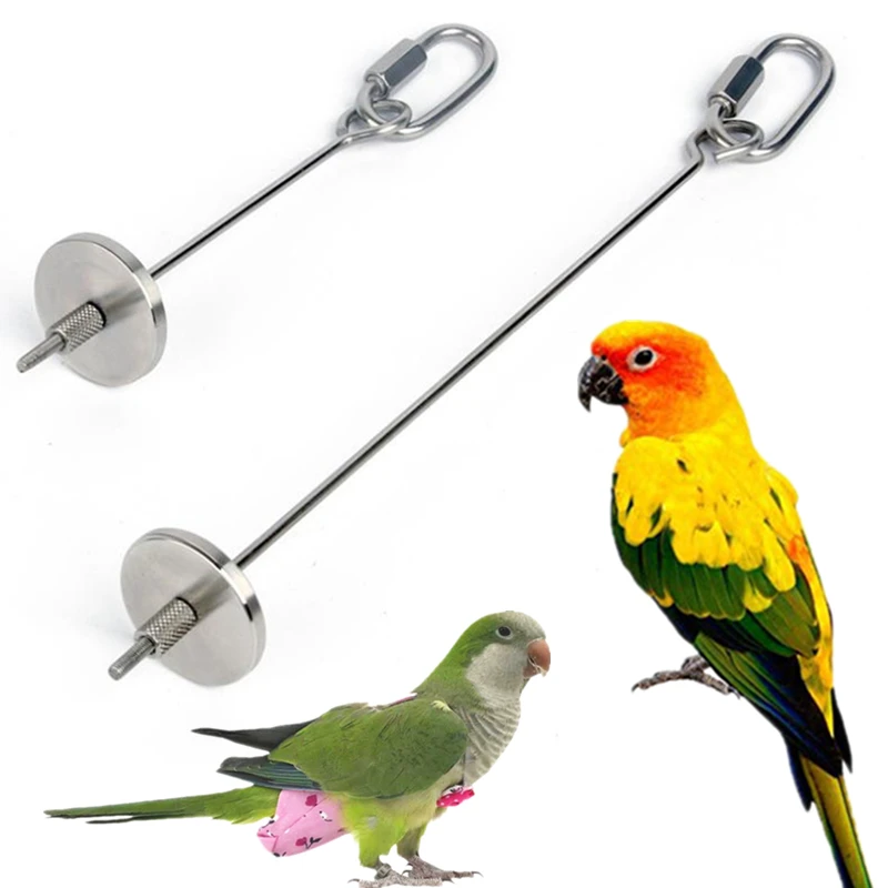 Stainless Steel Bird Parrot Food Stick Corn Fork Fruit Holder Hanging Feeding Supplies Cage Accessories Toys | Дом и сад