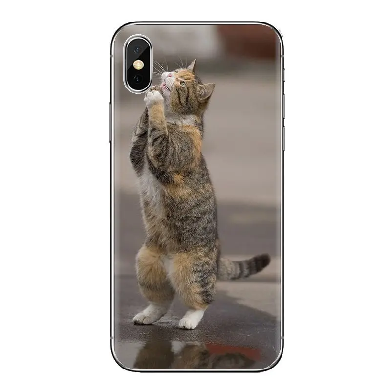 Красивая молитва котята коты печать для Xiao mi 6 A1 Max x 2 5X 6X красный Note 5 5A 4X 4A A4 4 3 Plus Pro
