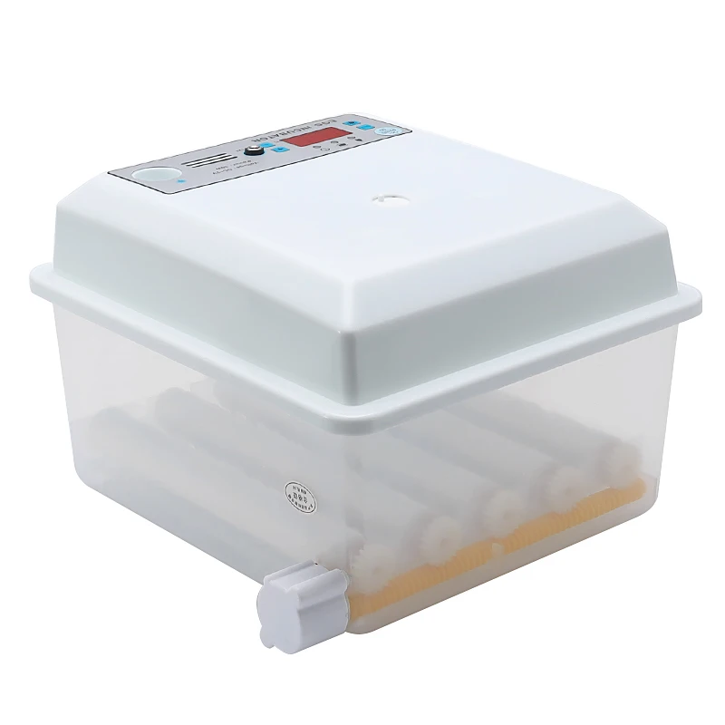 220 В инкубатор для яиц Брудер птица перепелиный цыплят птицы инкубационный