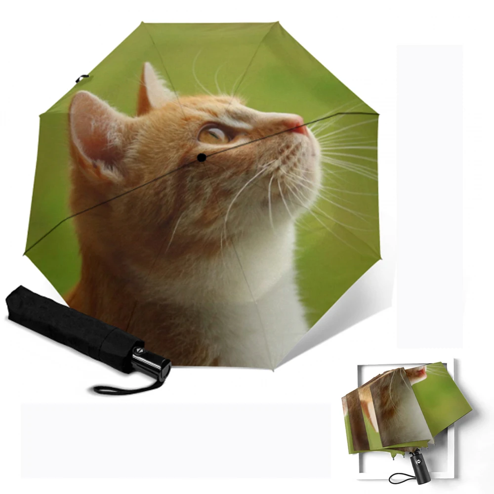 Детский складной зонт для женщин и кошек автоматический от дождя солнца с