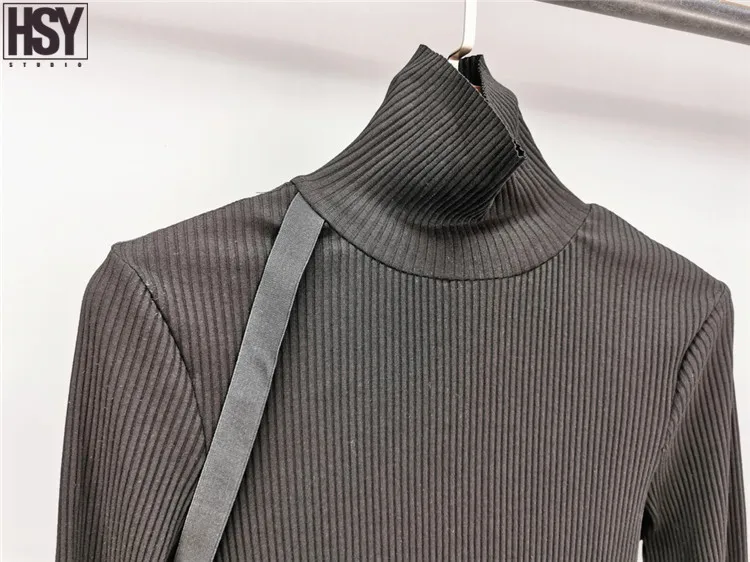【HSY】2019 Осень Зима Новый женский эластичный дизайн с длинным рукавом высоким