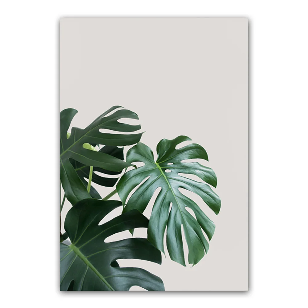 Минималистичные тропические свежие плакаты с листьями и принтами настенные