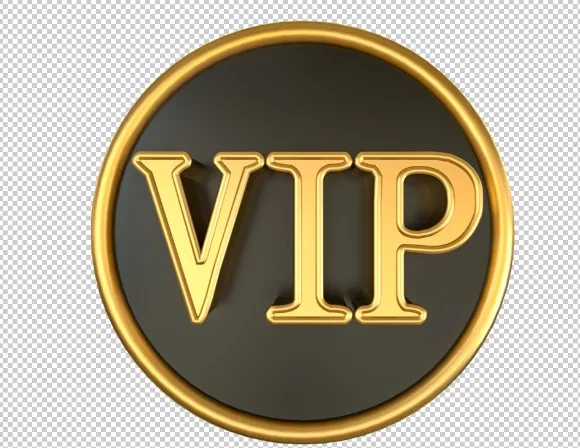 

VIP Ice Cream Maker Machine Home Party Use