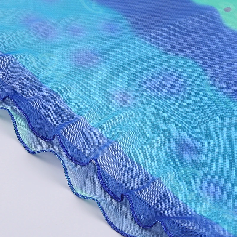 

Floral Print Striped Midi Skirt Women Y2K Mesh High Waisted Short Skirts Ladies 90s E-girl Fashion Cute Holiday Skirt Blue