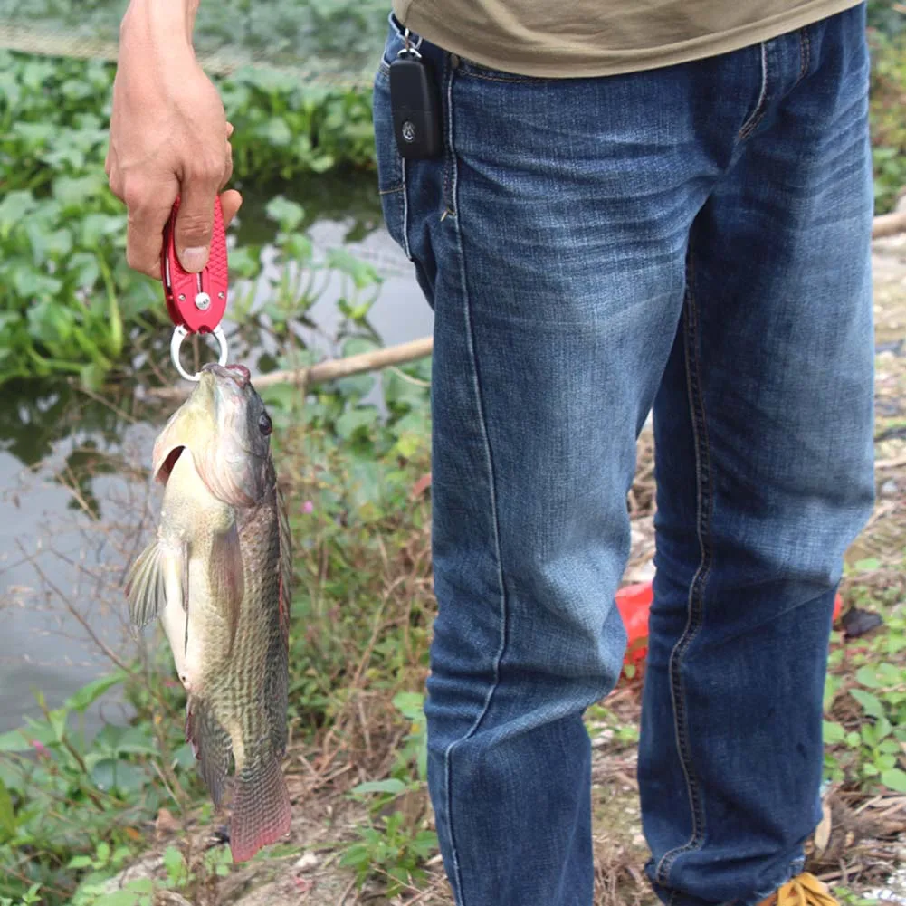 

Aluminum Alloy Fish Grip Clamp Outdoor Fishing Plier Fish Shape Gripper Grabber with Rope Easy to use herramientas Dropshipping