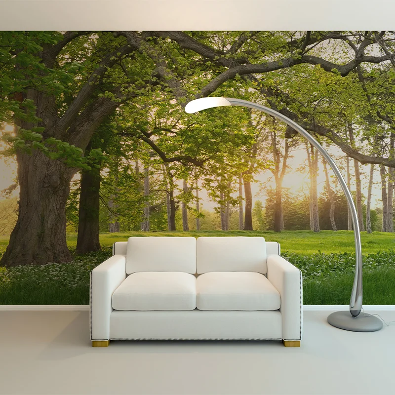 

Sunset in Forest and Customizable Murals Background in the Study Enviornment 3D Background Murals in the Living Room and Bedroom
