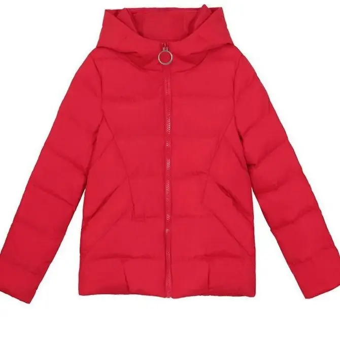 

Frosted fabric 2020 off season new Korean slim fit thickened jacket down cotton padded jacket fashion women's small cotton