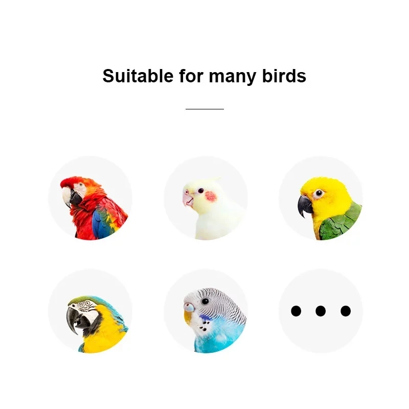 

1Set Of Training Pet Bird Toy Set Interactive Parrot Equipment Set Funny Bird Activity Parrot Toy Pet Bird Basketball Skateboard