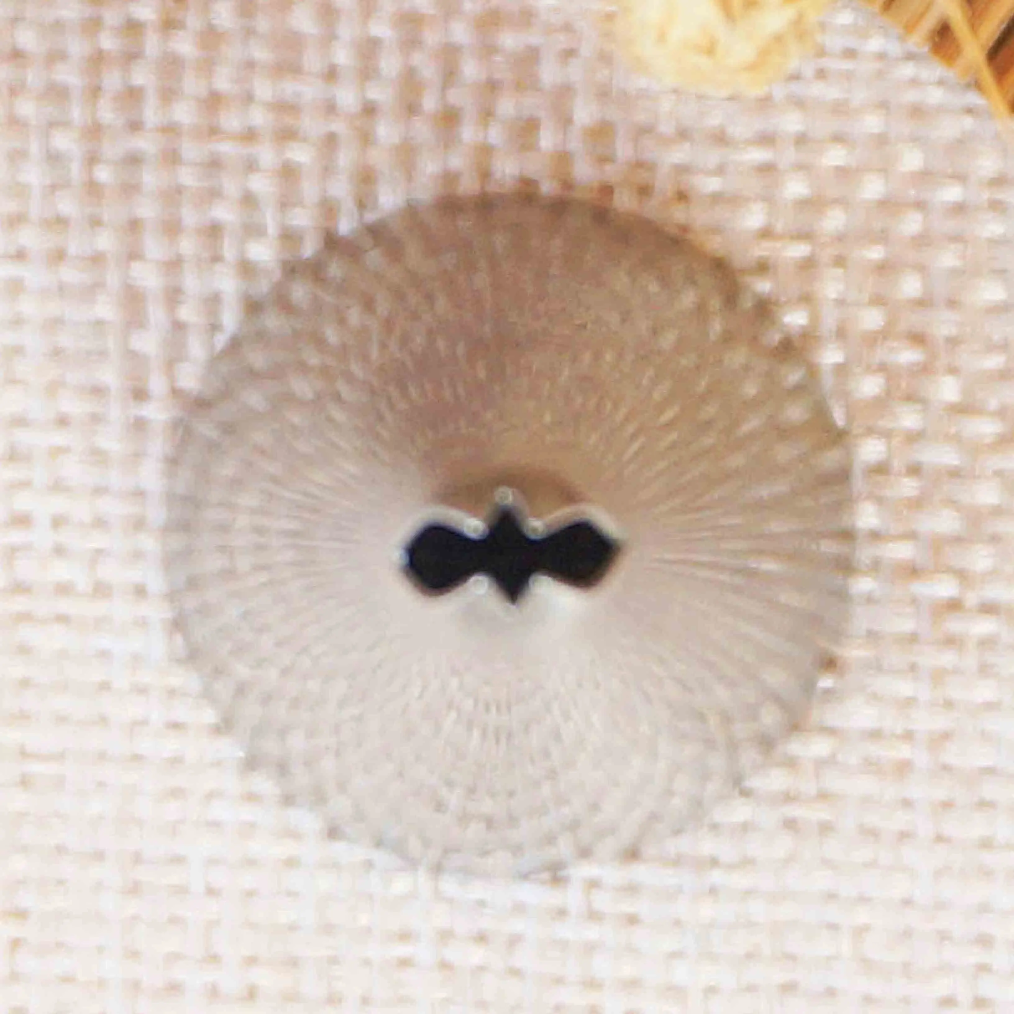 #67 насадка в форме листа насадки для глазировки трубка украшения кексов