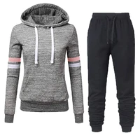 women tracksuits autumn winter thick fleece warm solid suit 2 pieces sets female casual long sleeve hooded sweatshirt outfit