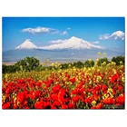Алмазная вышивка Маки фон горы Арарат Алмазная мозаика полный квадратный круглый 5d алмазная живопись распродажа пейзаж, EE1341