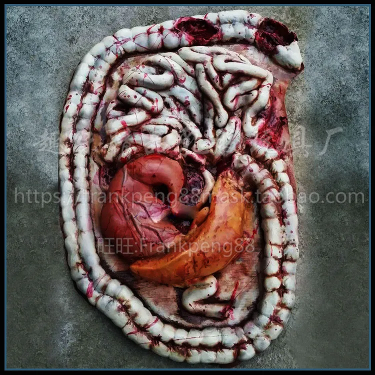 Кровавая еда человеческий большой кишечник реквизит часть тела орган для